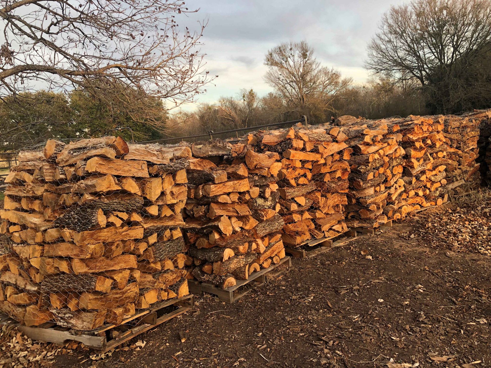 Firewood For Sale Near Me Archives Texas Firewood 979 450 5318Texas 