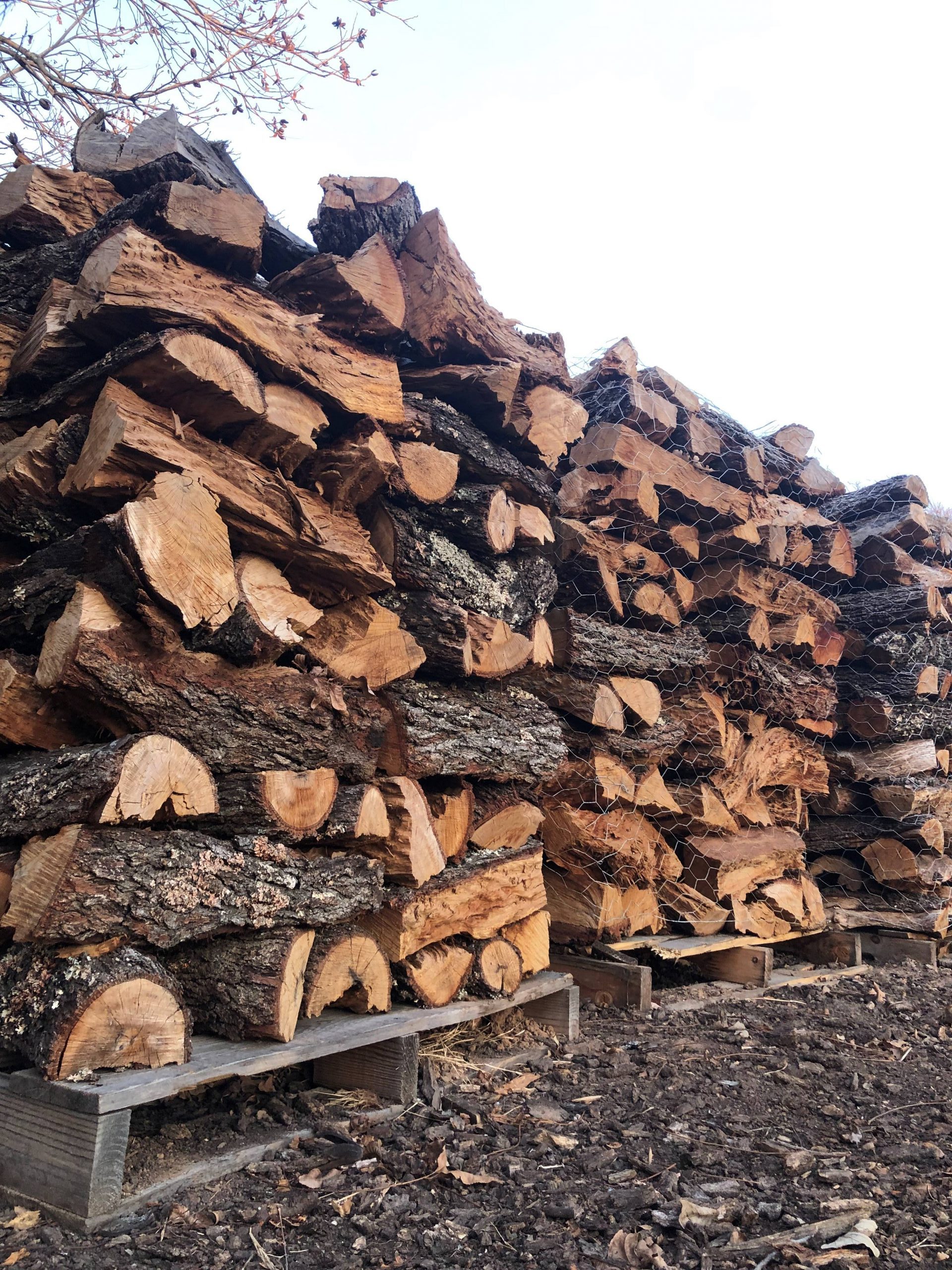 Wood Prices 20192020 Texas Firewood 979 4505318